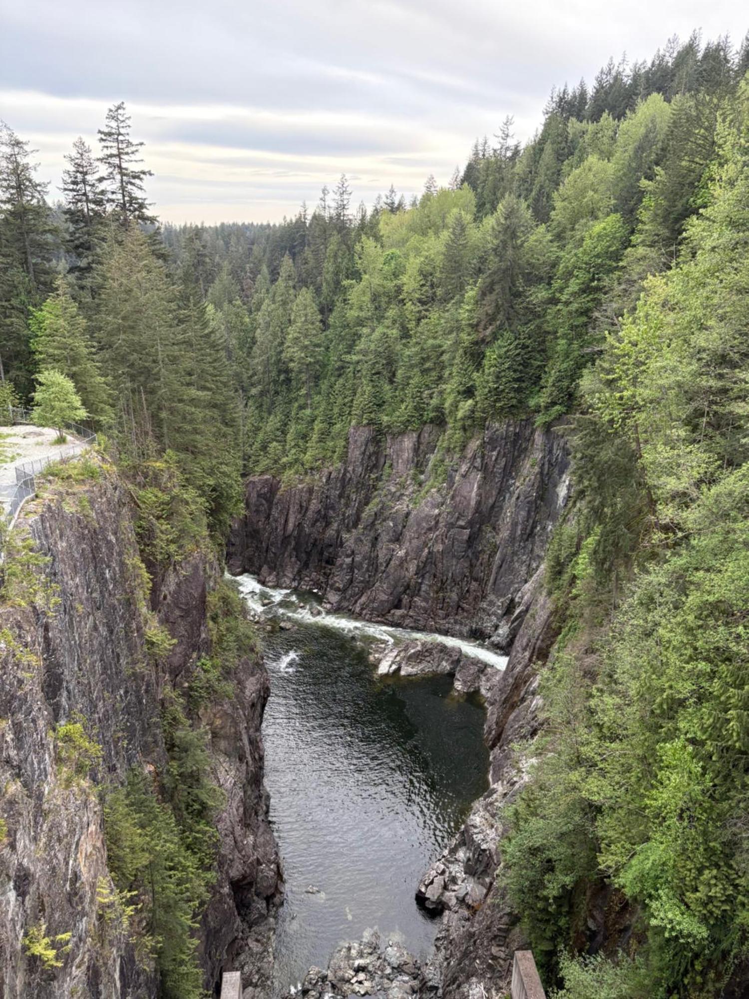 'Canyon Heights' Retreat ノースバンクーバー エクステリア 写真